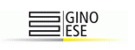 GINO